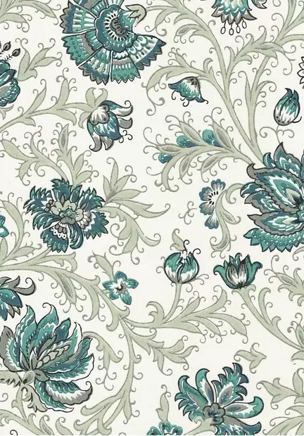 Neidonkukka - Kasviaiheet - 67308 - 1