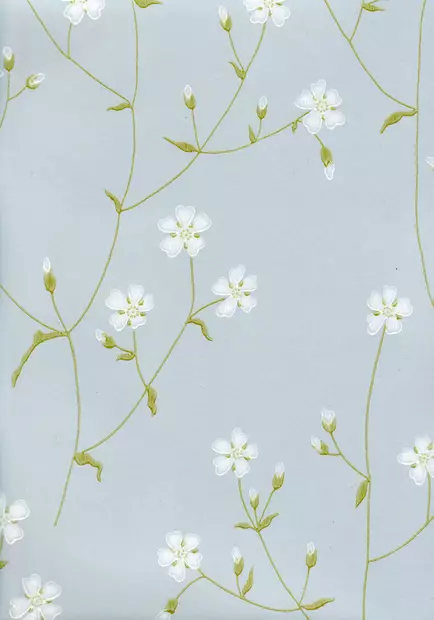 Niittyleinikki - Pihlgren & Ritola -tapetit - 69198 - 1