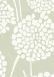 Daaliat - Kasviaiheet - 70128 - 1