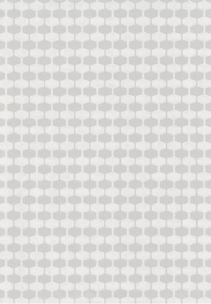 1100 - Pihlgren & Ritola -tapetit - 64248 - 1