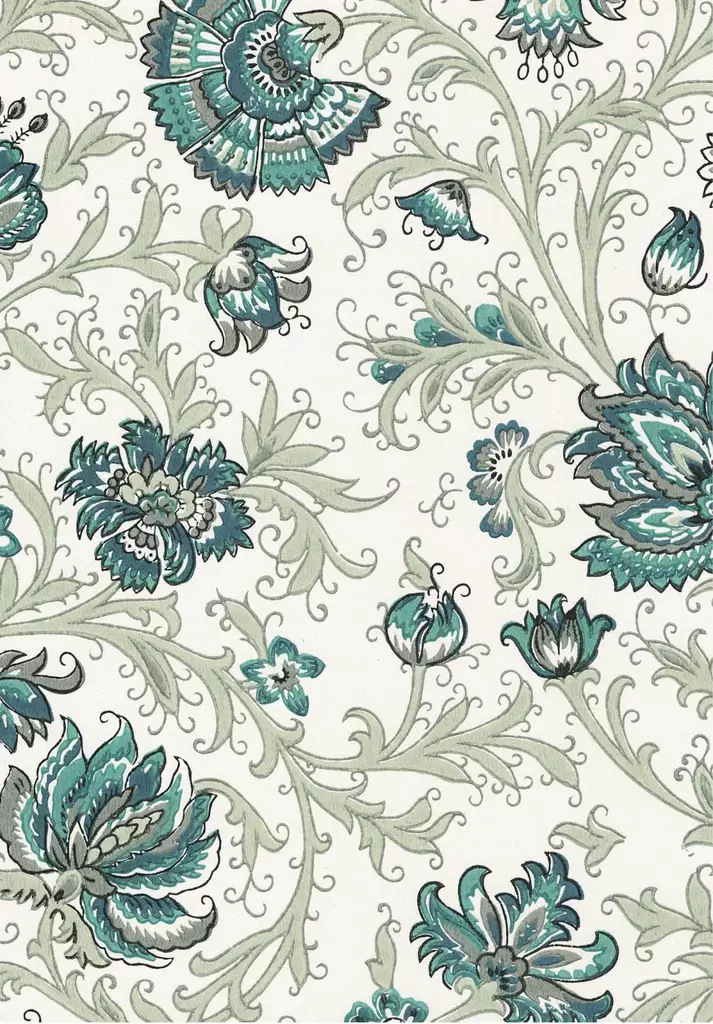 Neidonkukka - Kasviaiheet - 67308 - 1