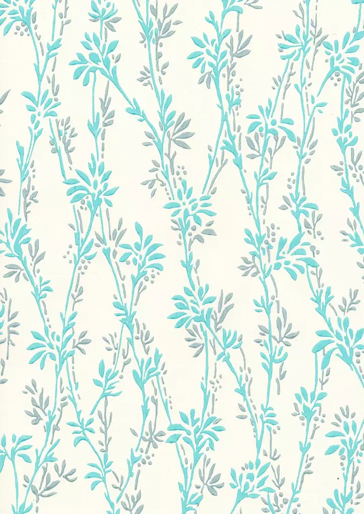 Jääkukka - Kasviaiheet - 70018 - 1