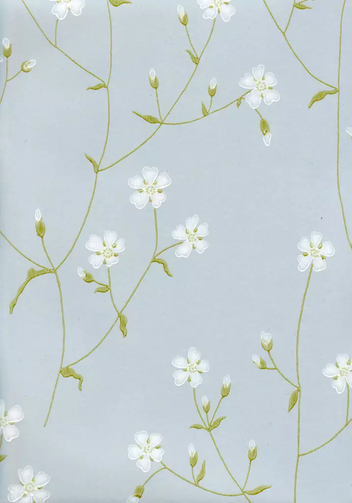 Niittyleinikki - Pihlgren & Ritola -tapetit - 69198 - 1