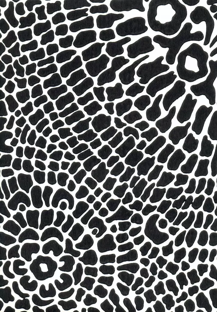 Pantteri - Pihlgren & Ritola -tapetit - 68648 - 1