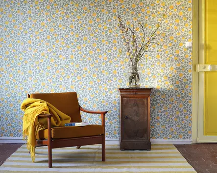 Appelsiini - Pihlgren & Ritola -tapetit - 69799 - 2