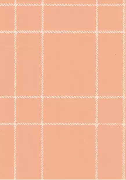 Villaruutu - 70-luvun tapetit - 70119 - 1