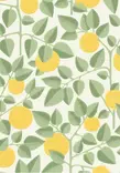Appelsiini - Pihlgren & Ritola -tapetit - 69799 - 1