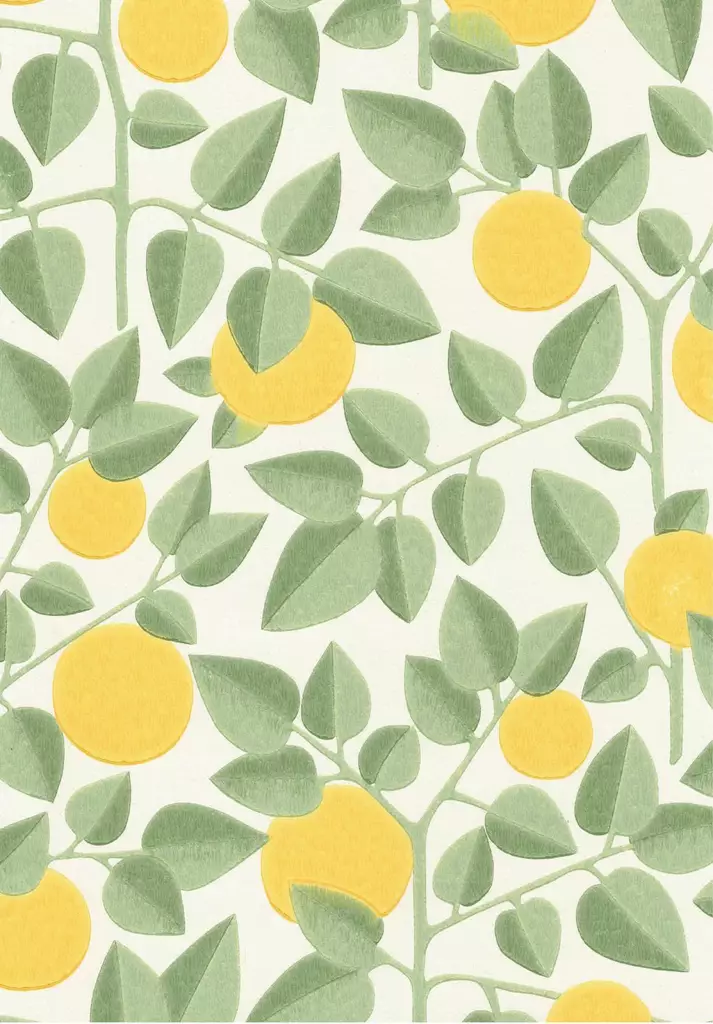 Appelsiini - Pihlgren & Ritola -tapetit - 69799 - 1