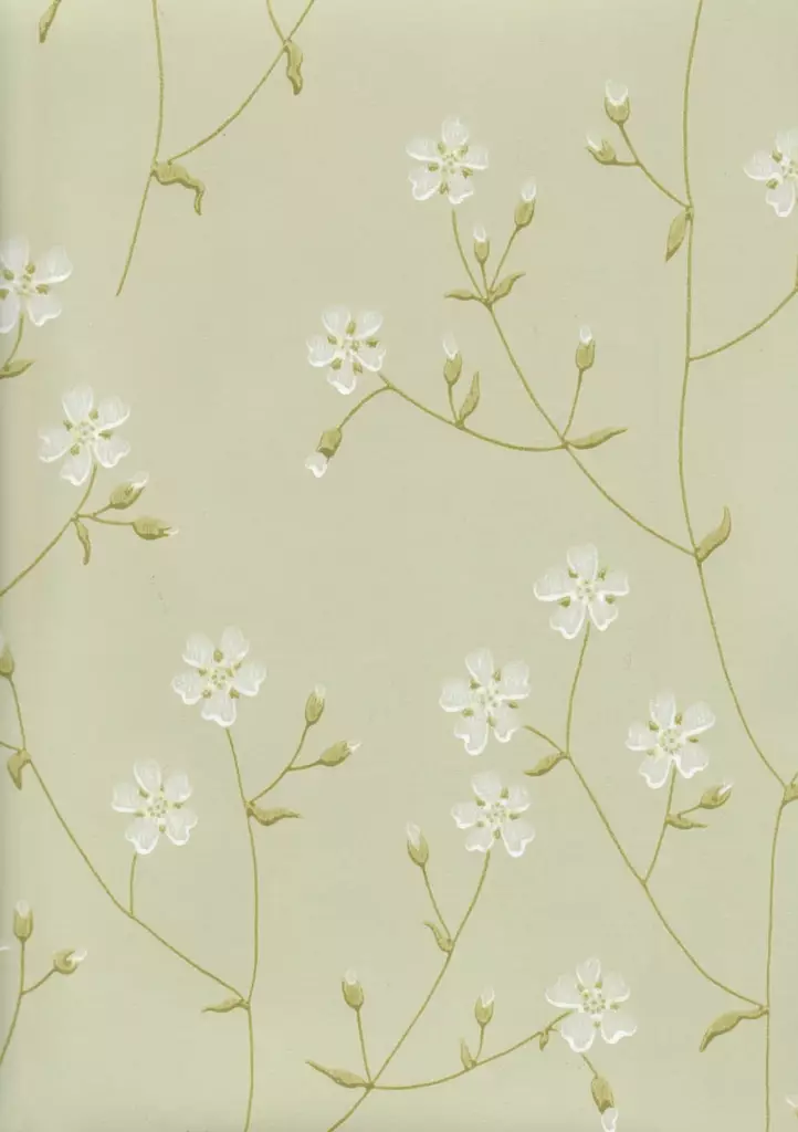 Niittyleinikki - Pihlgren & Ritola -tapetit - 69199 - 1